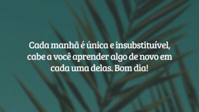 Cada manhã é única e insubstituível, cabe a você aprender algo de novo em cada uma delas. Bom dia!