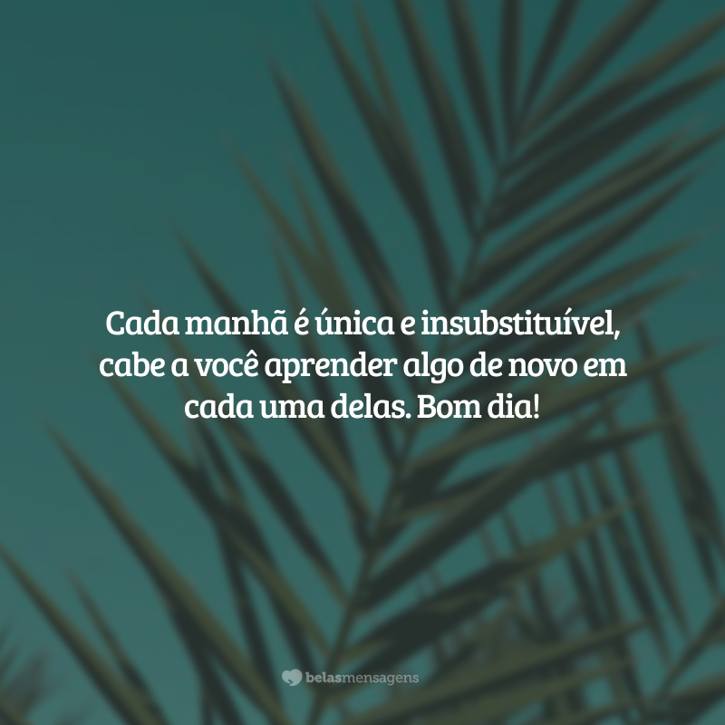 Cada manhã é única e insubstituível, cabe a você aprender algo de novo em cada uma delas. Bom dia!