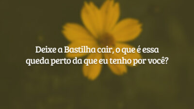 Deixe a Bastilha cair, o que é essa queda perto da que eu tenho por você?