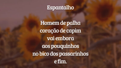 Espantalho

Homem de palha
coração de capim
vai embora
aos pouquinhos
no bico dos passarinhos
e fim.