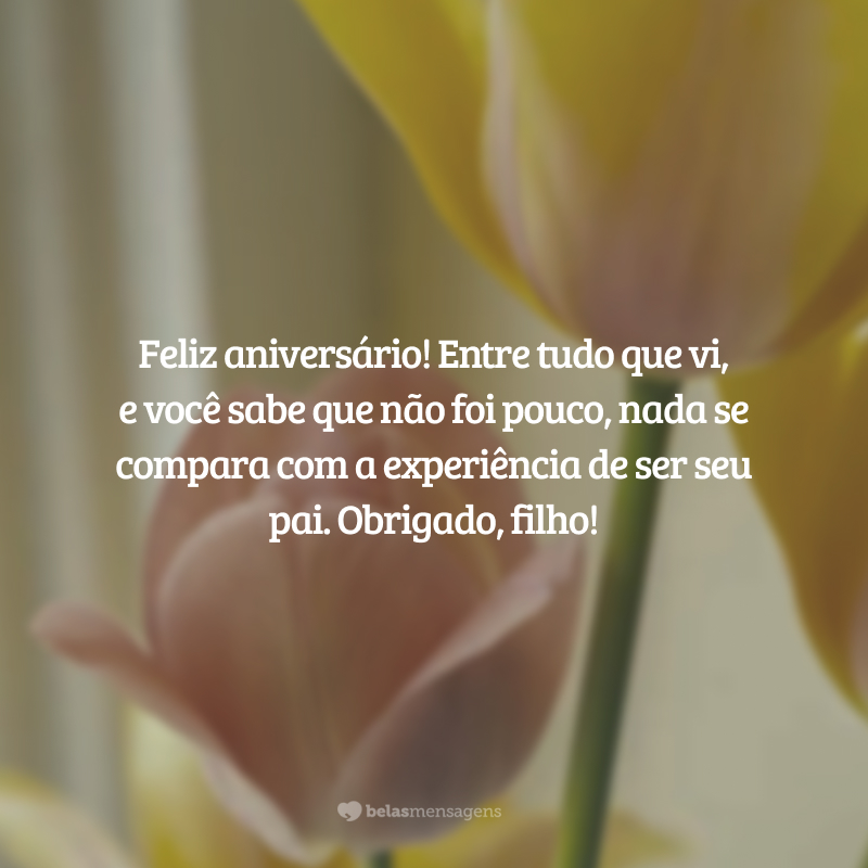 Feliz aniversário! Entre tudo que vi, e você sabe que não foi pouco, nada se compara com a experiência de ser seu pai. Obrigado, filho!