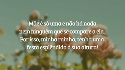 Mãe é só uma e não há nada nem ninguém que se compare a ela. Por isso, minha rainha, tenha uma festa esplêndida à sua altura!