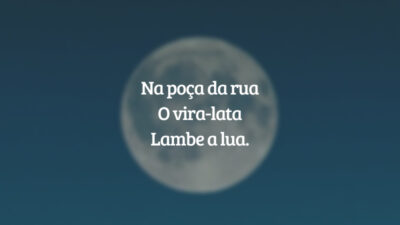 Na poça da rua
O vira-lata
Lambe a lua.