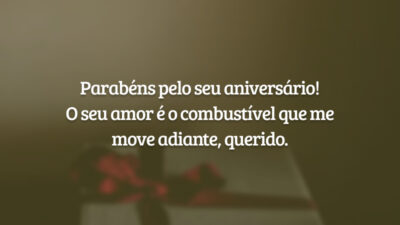 Parabéns pelo seu aniversário! O seu amor é o combustível que me move adiante, querido.