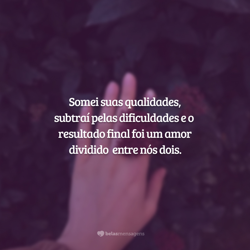 Somei suas qualidades, subtraí pelas dificuldades e o resultado final foi um amor dividido entre nós dois.