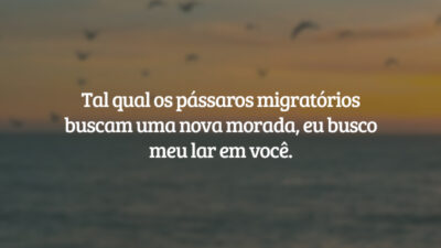 Tal qual os pássaros migratórios buscam uma nova morada, eu busco meu lar em você.