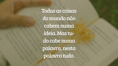 Todas as coisas 
do mundo não 
cabem numa 
ideia. Mas tu- 
do cabe numa 
palavra, nesta 
palavra tudo.