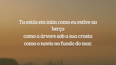 Tu estás em mim como eu estive no berço
como a árvore sob a sua crosta
como o navio no fundo do mar.