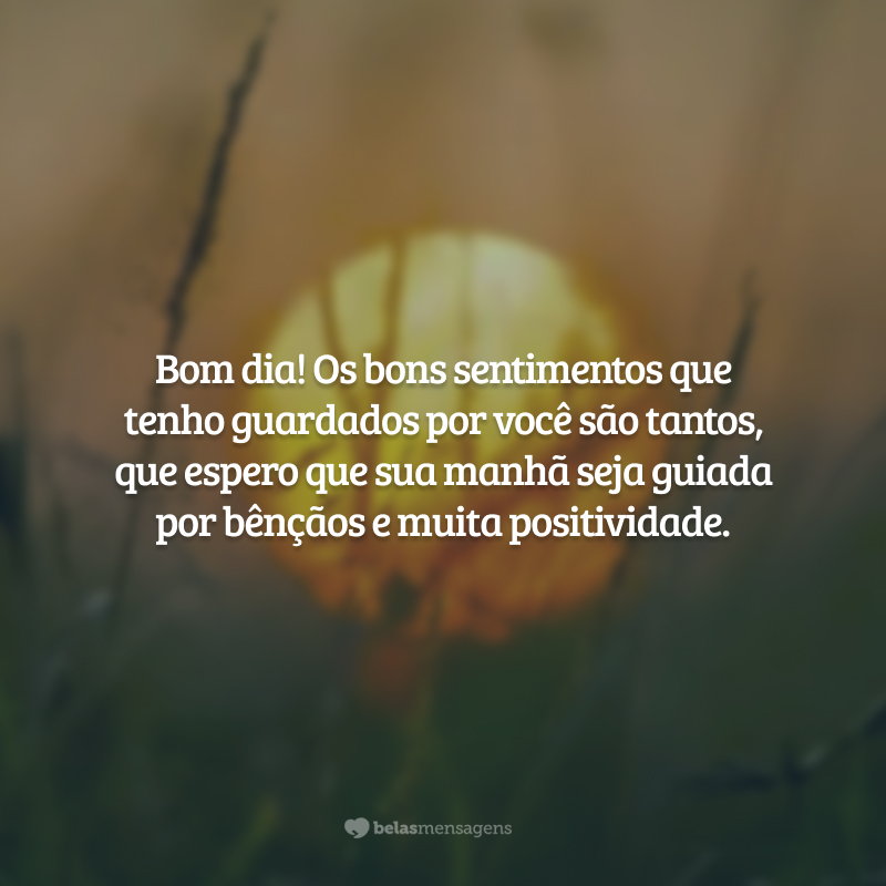 Bom dia! Os bons sentimentos que tenho guardados por você são tantos, que espero que sua manhã seja guiada por bênçãos e muita positividade.