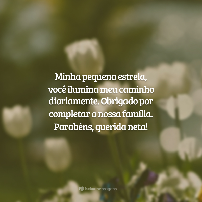 Minha pequena estrela, você ilumina meu caminho diariamente. Obrigado por completar a nossa família. Parabéns, querida neta!