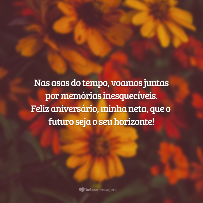 Nas asas do tempo, voamos juntas por memórias inesquecíveis. Feliz aniversário, minha neta, que o futuro seja o seu horizonte!