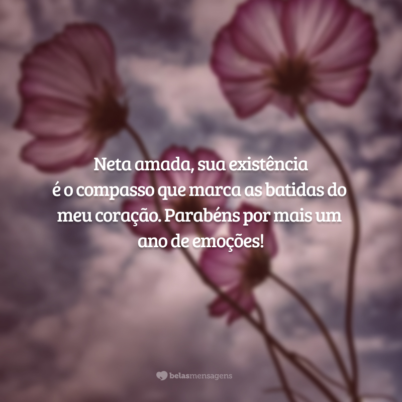 Neta amada, sua existência é o compasso que marca as batidas do meu coração. Parabéns por mais um ano de emoções!