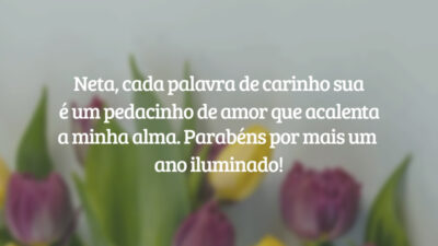 Neta, cada palavra de carinho sua é um pedacinho de amor que acalenta a minha alma. Parabéns por mais um ano iluminado!