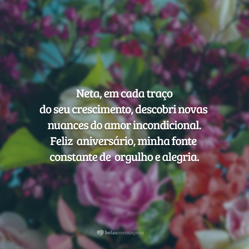 Neta, em cada traço do seu crescimento, descobri novas nuances do amor incondicional. Feliz aniversário, minha fonte constante de orgulho e alegria.