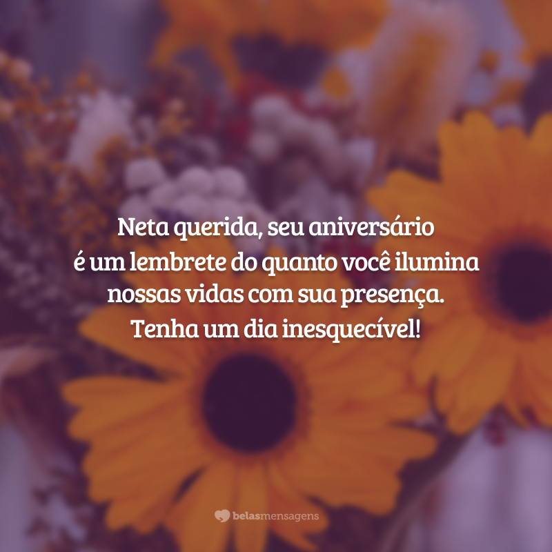 Neta querida, seu aniversário é um lembrete do quanto você ilumina nossas vidas com sua presença. Tenha um dia inesquecível!