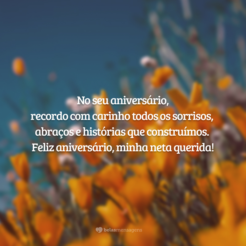 No seu aniversário, recordo com carinho todos os sorrisos, abraços e histórias que construímos. Feliz aniversário, minha neta querida!