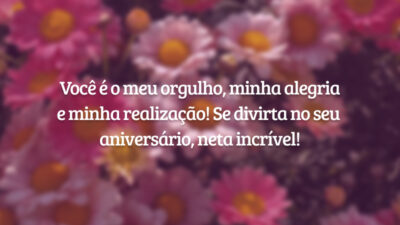 Você é o meu orgulho, minha alegria e minha realização! Se divirta no seu aniversário, neta incrível!