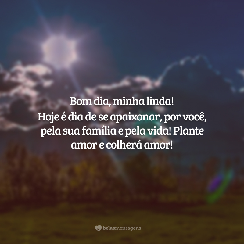 Bom dia, minha linda! Hoje é dia de se apaixonar, por você, pela sua família e pela vida! Plante amor e colherá amor!