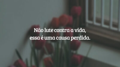 Não lute contra a vida, essa é uma causa perdida.