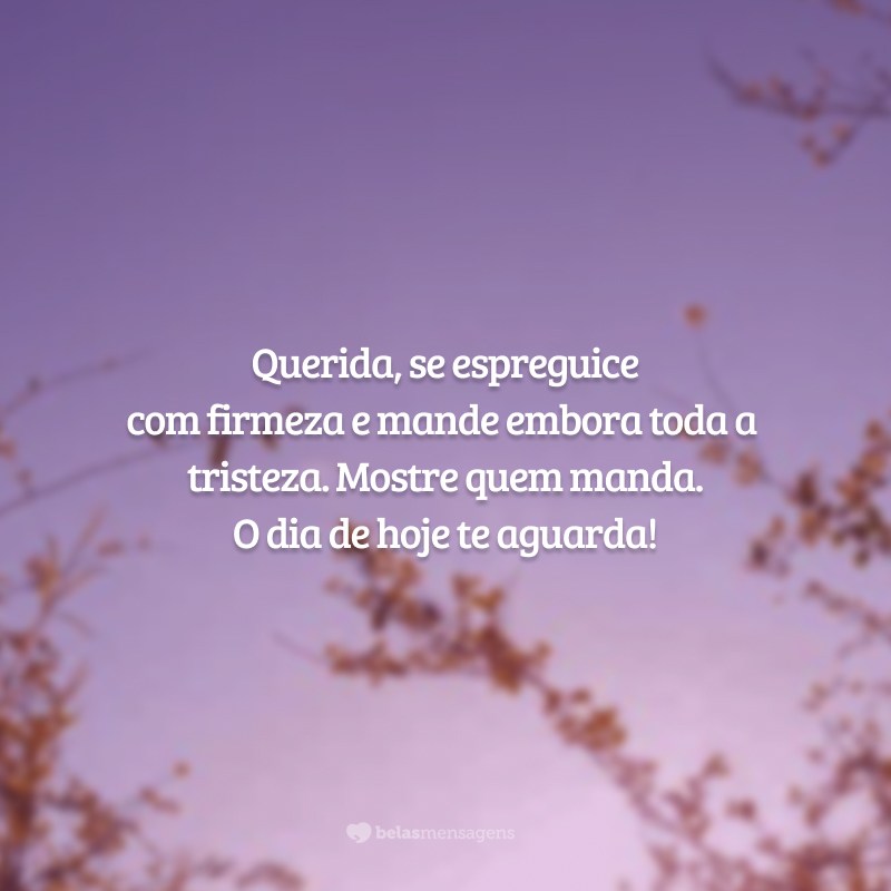 Querida, se espreguice com firmeza e mande embora toda a tristeza. Mostre quem manda. O dia de hoje te aguarda!