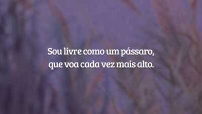 Sou livre como um pássaro, que voa cada vez mais alto.