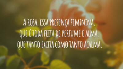 A rosa, essa presença feminina, que é toda feita de perfume e&hellip;